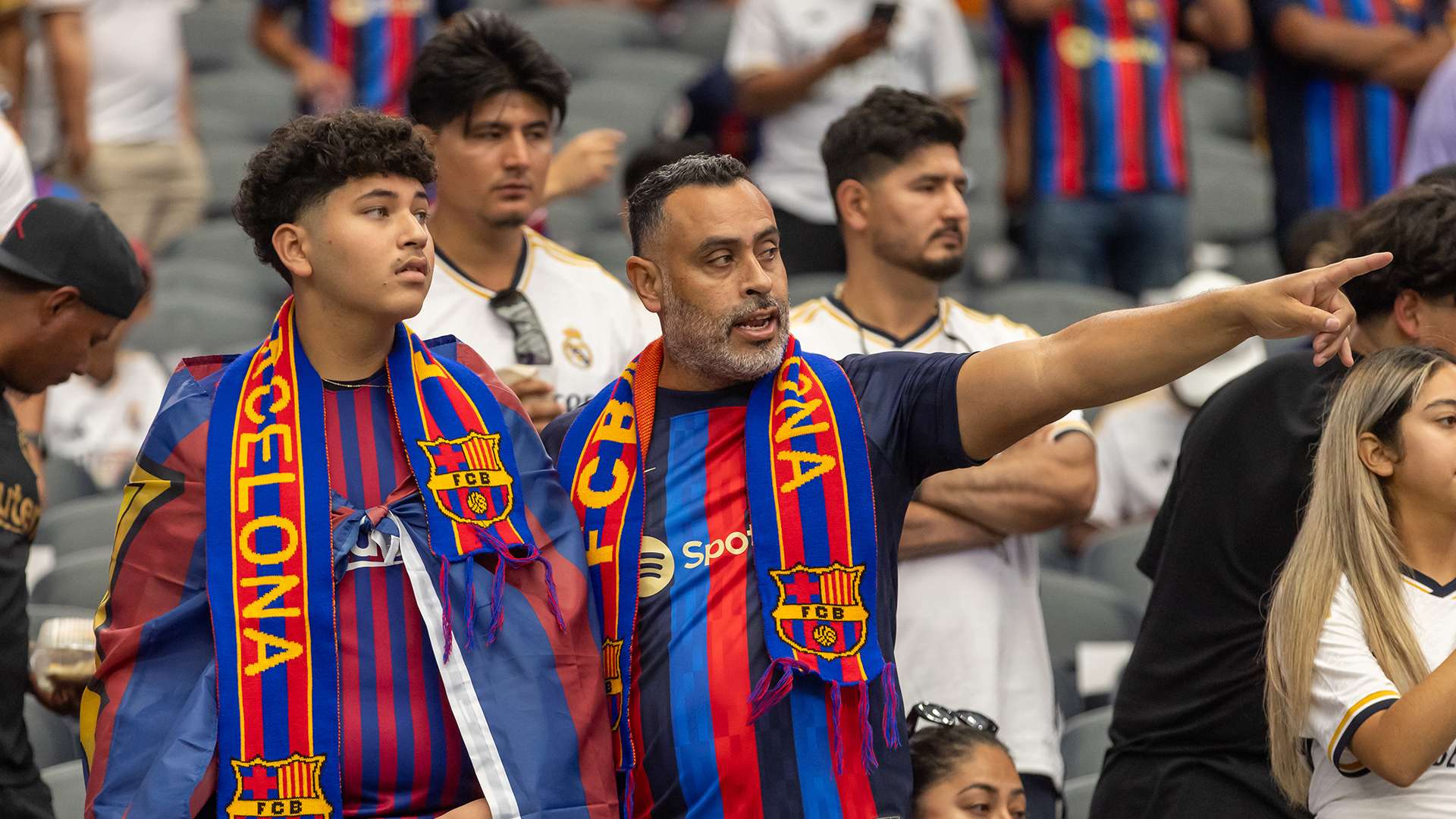 尽管该系列 尽管该系列