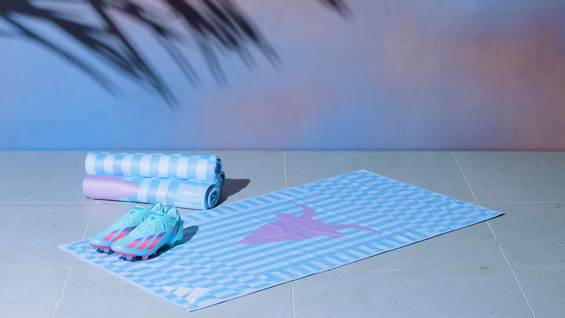 足球的一个 足球的一个